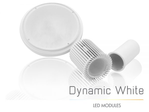 Dynamic White Modules